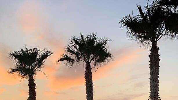 A pool with palm trees and a view of the sea at sunset. - Capovaticano Resort Thalasso Spa (Ricadi)
