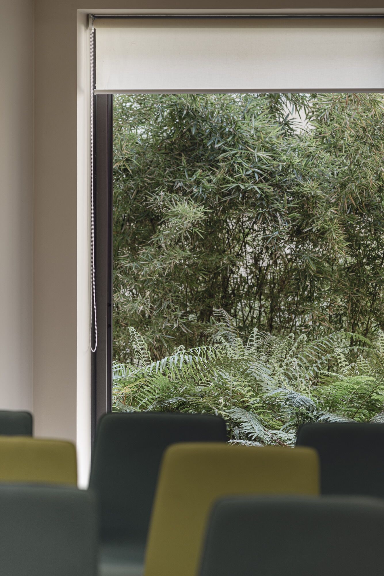 A room with a large window overlooking a dense, green forest.