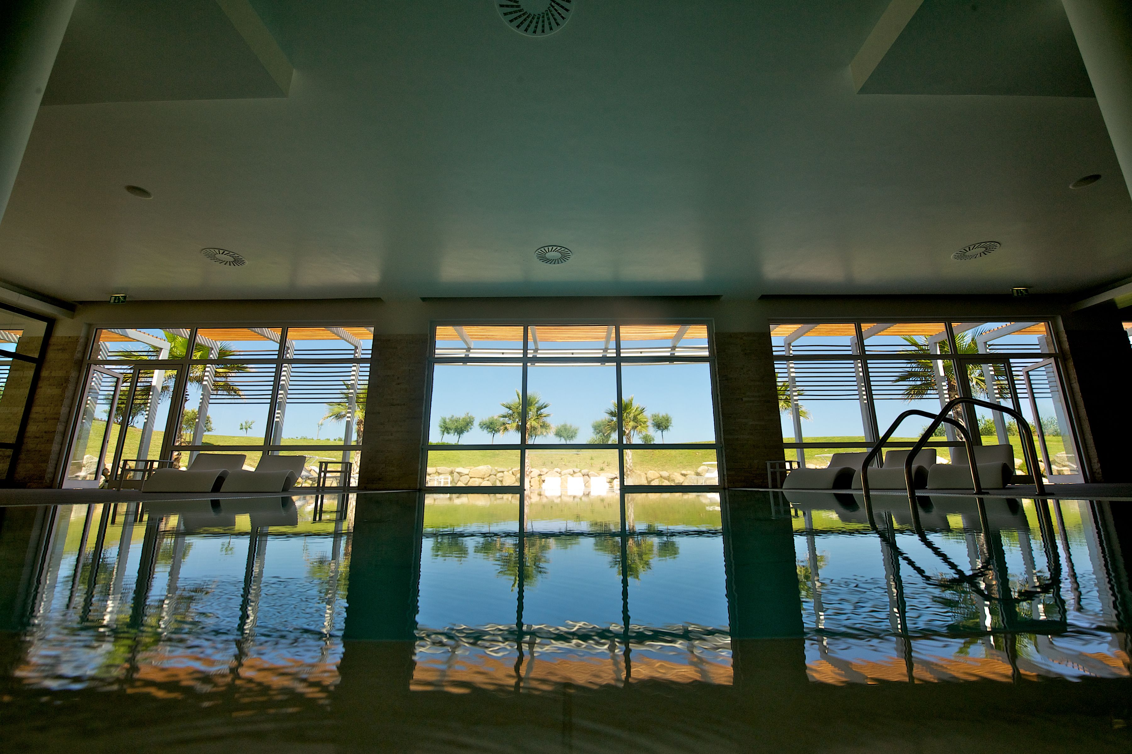 Piscina interior con vistas despejadas a palmeras y una zona verde al exterior.