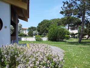 Terrain de l’hébergement 