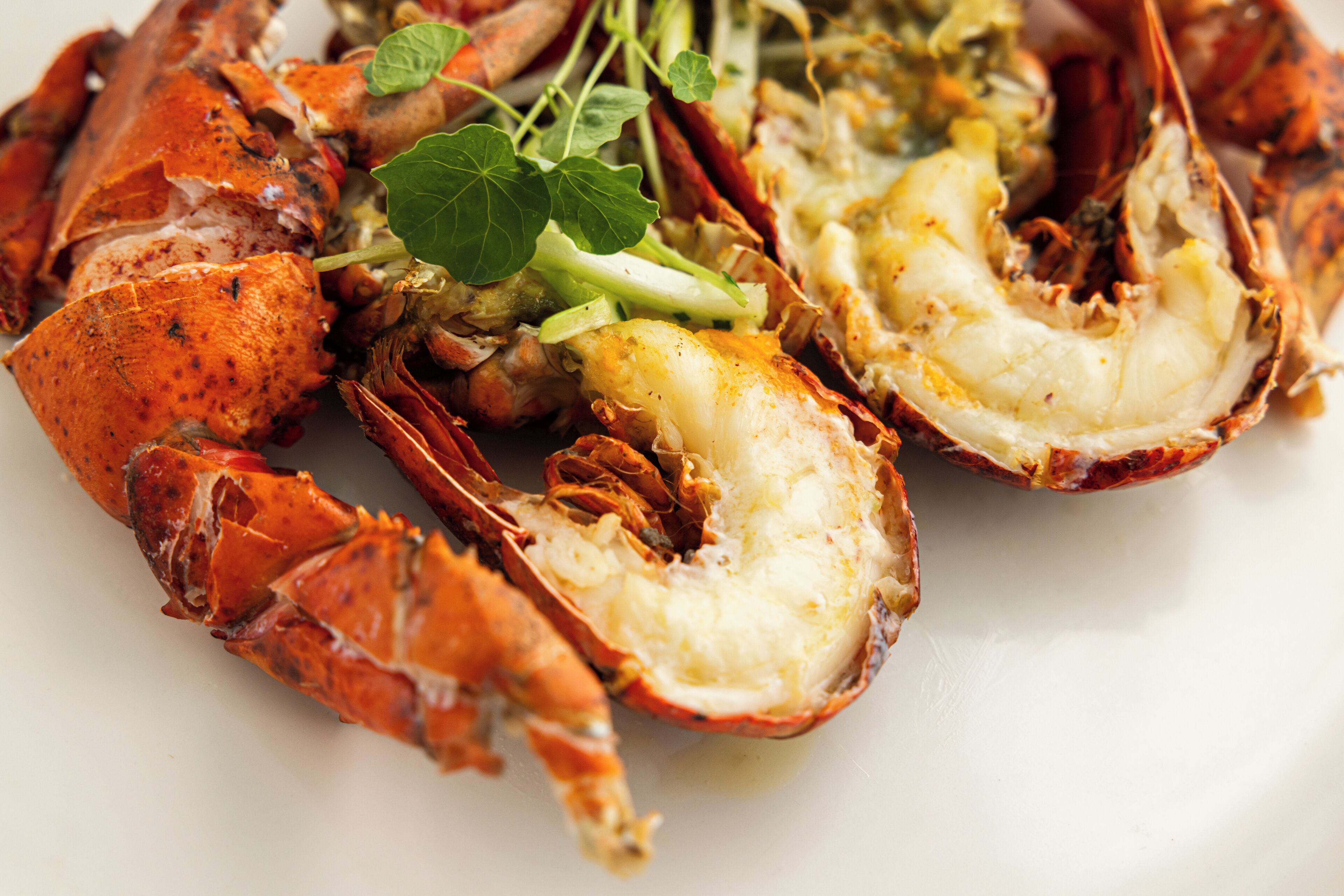 A lobster with a green leaf garnish on a white plate.