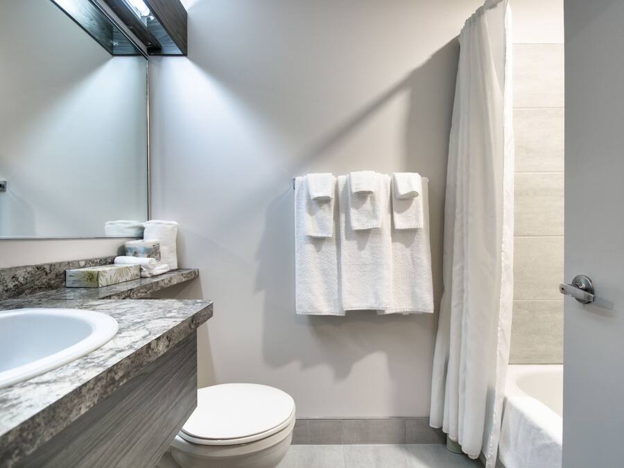 Un baño moderno con lavamanos de mármol, inodoro y bañera.