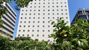 Un immeuble de grande hauteur, doté d’une façade à motifs géométriques de fenêtres, entouré de verdure.