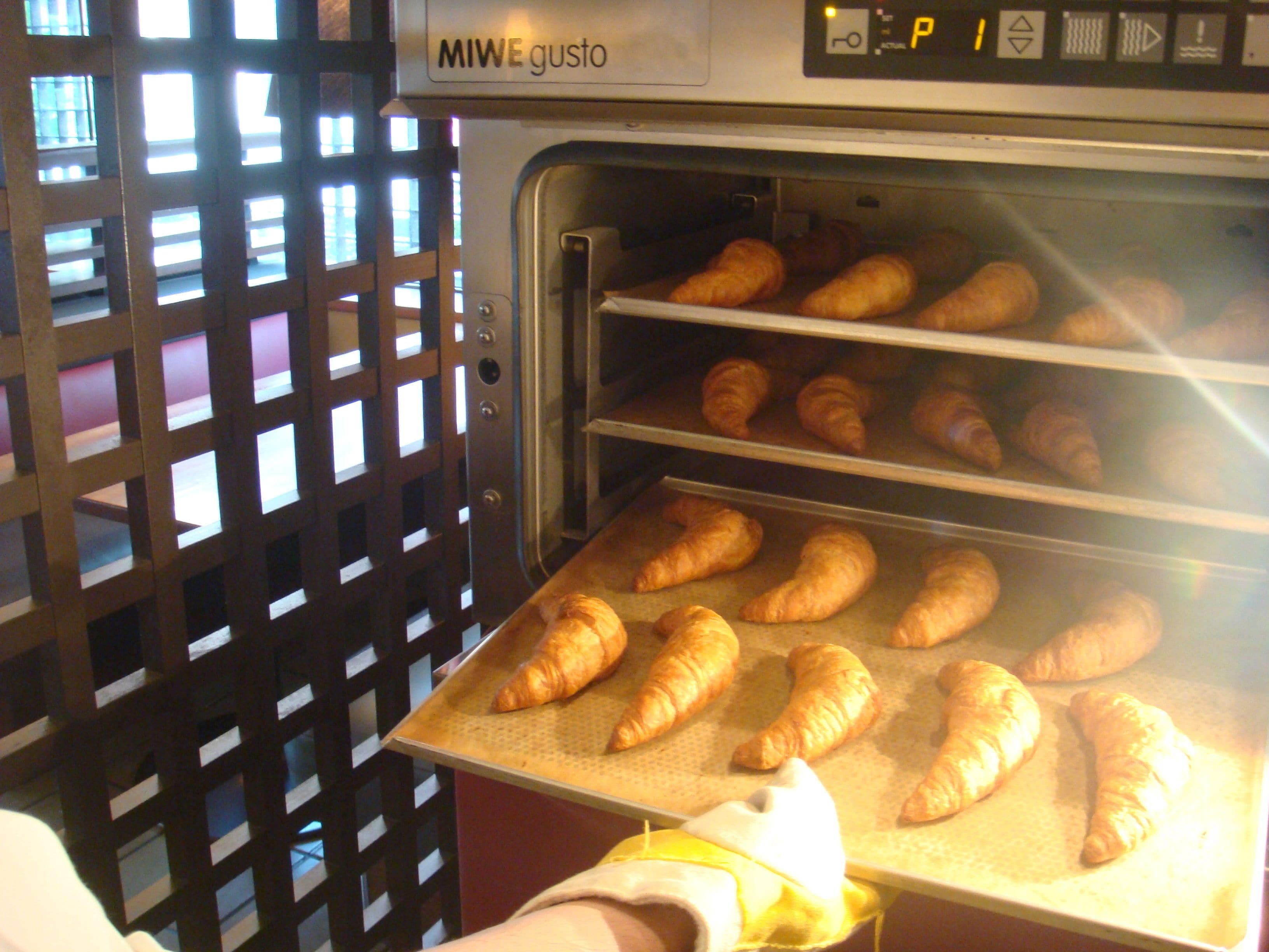 An oven with multiple shelves filled with croissants.