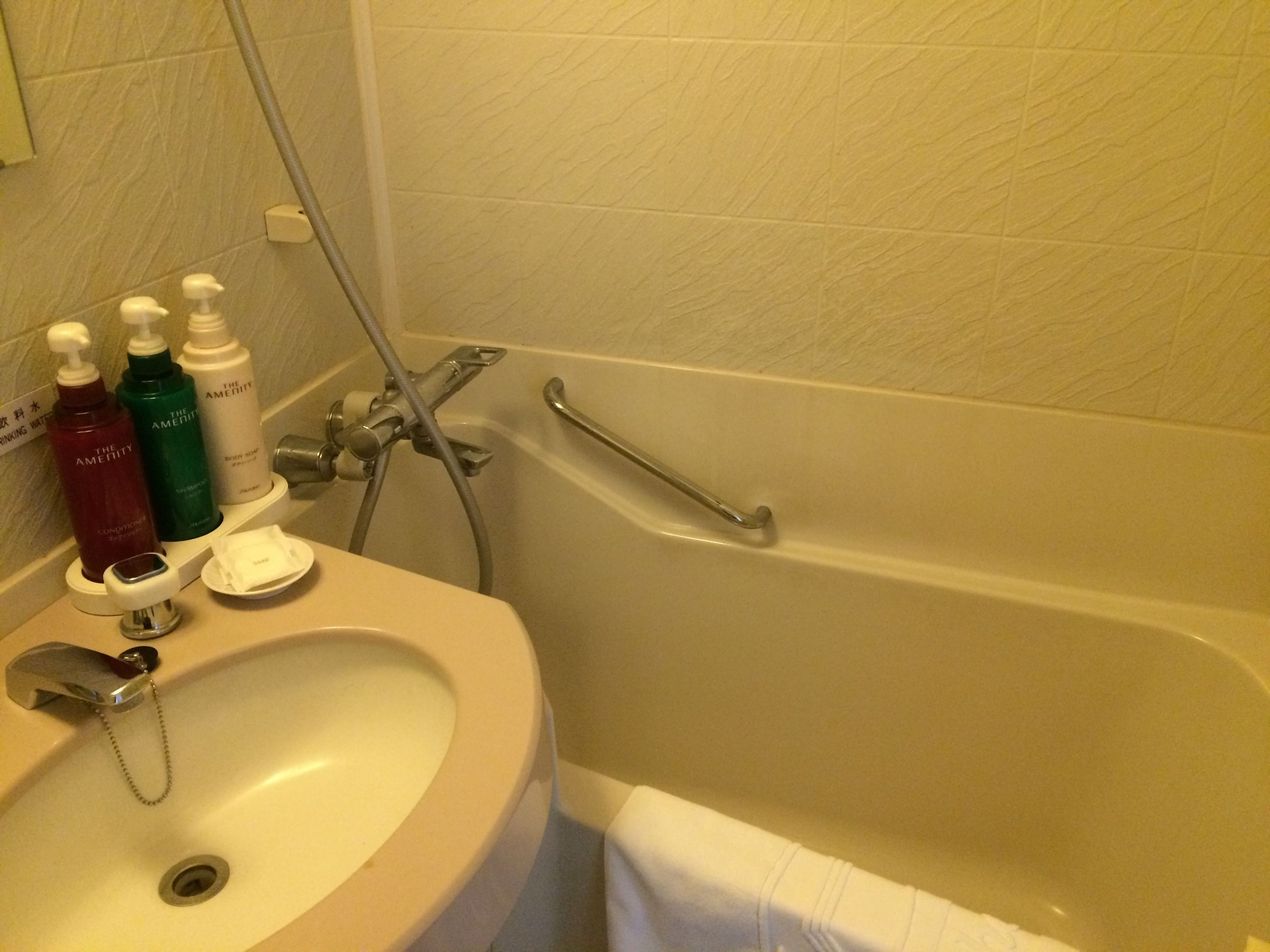 combined shower/bathtub, free toiletries, hair dryer, bathrobes