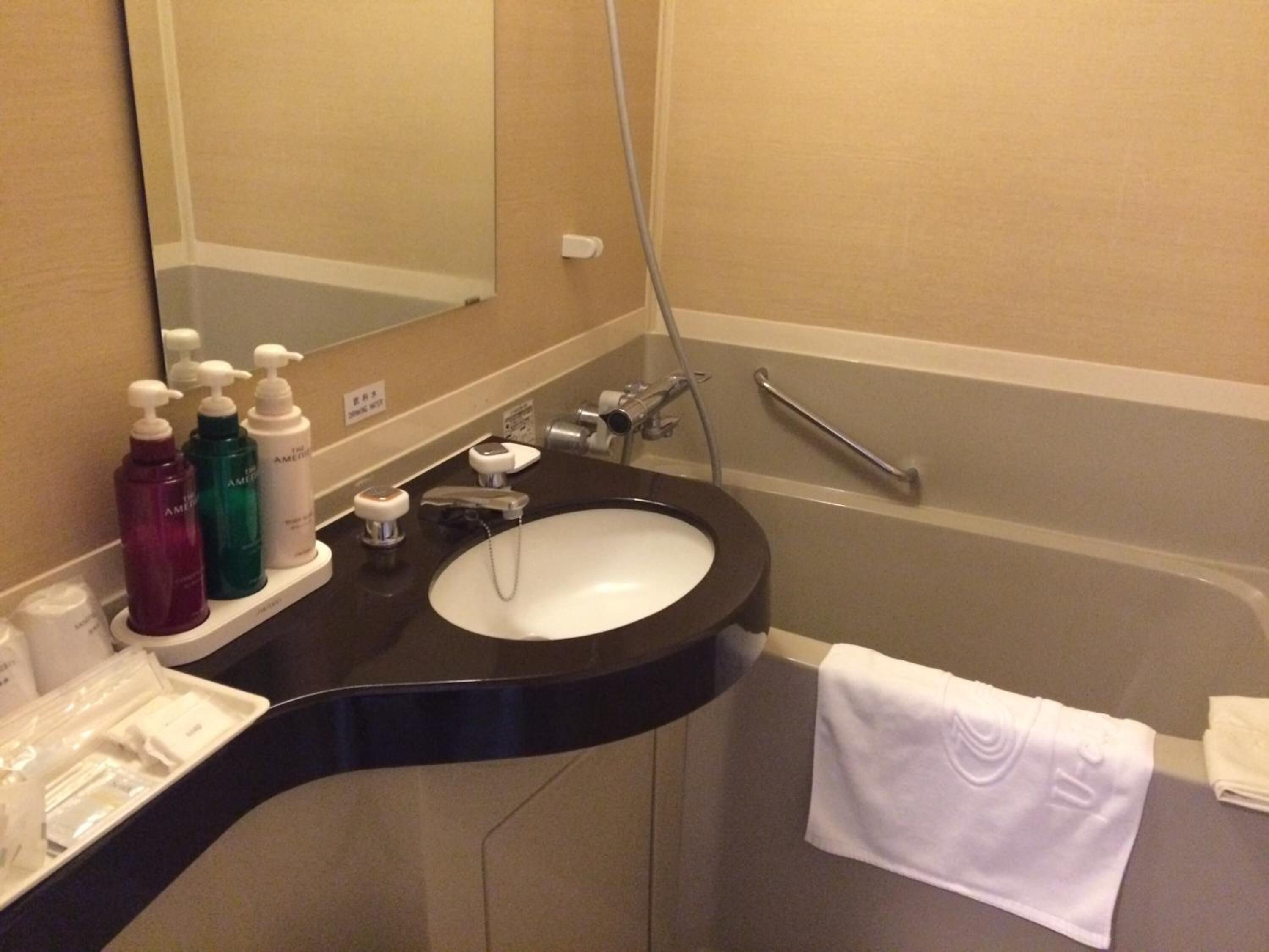 combined shower/bathtub, free toiletries, hair dryer, bathrobes