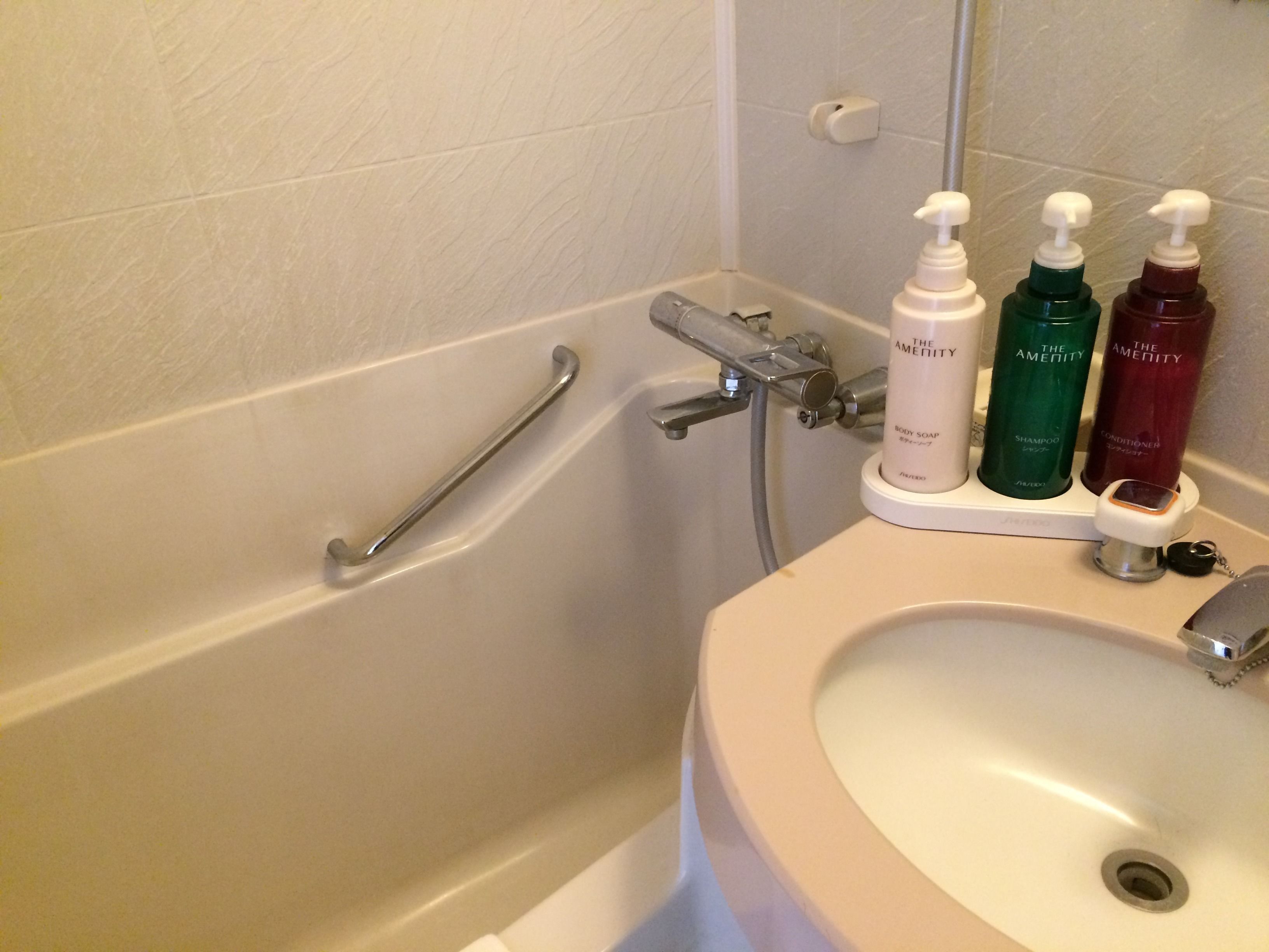 combined shower/bathtub, free toiletries, hair dryer, bathrobes