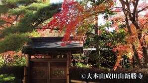 A traditional Japanese building with a tiled roof and wooden structure, surrounded by autumn foliage. - Narita U-City Hotel (Narita)