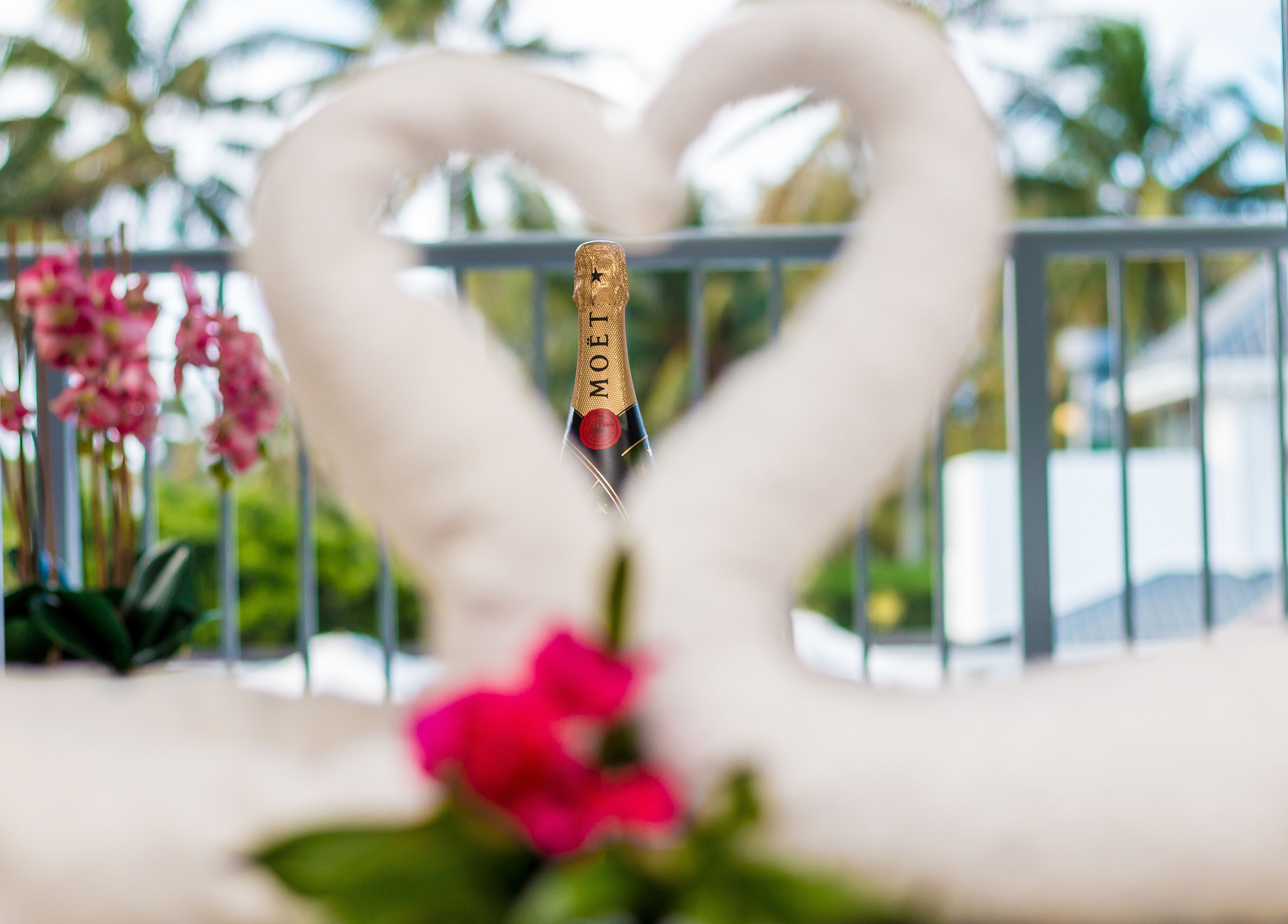 A swan-shaped arrangement of white flowers with a bottle of Moët champagne in the center.