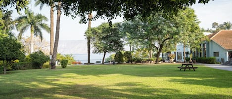 A grassy outdoor area with a picnic table, palm trees, and a building in the background.