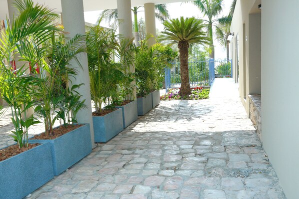 Un chemin pavé, bordé de jardinières contenant diverses plantes et d’un palmier, mène à un bâtiment doté d’un portail bleu.