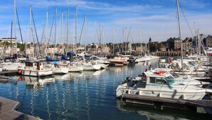 Una marina con varias embarcaciones amarradas, un muelle de madera y edificios al fondo.