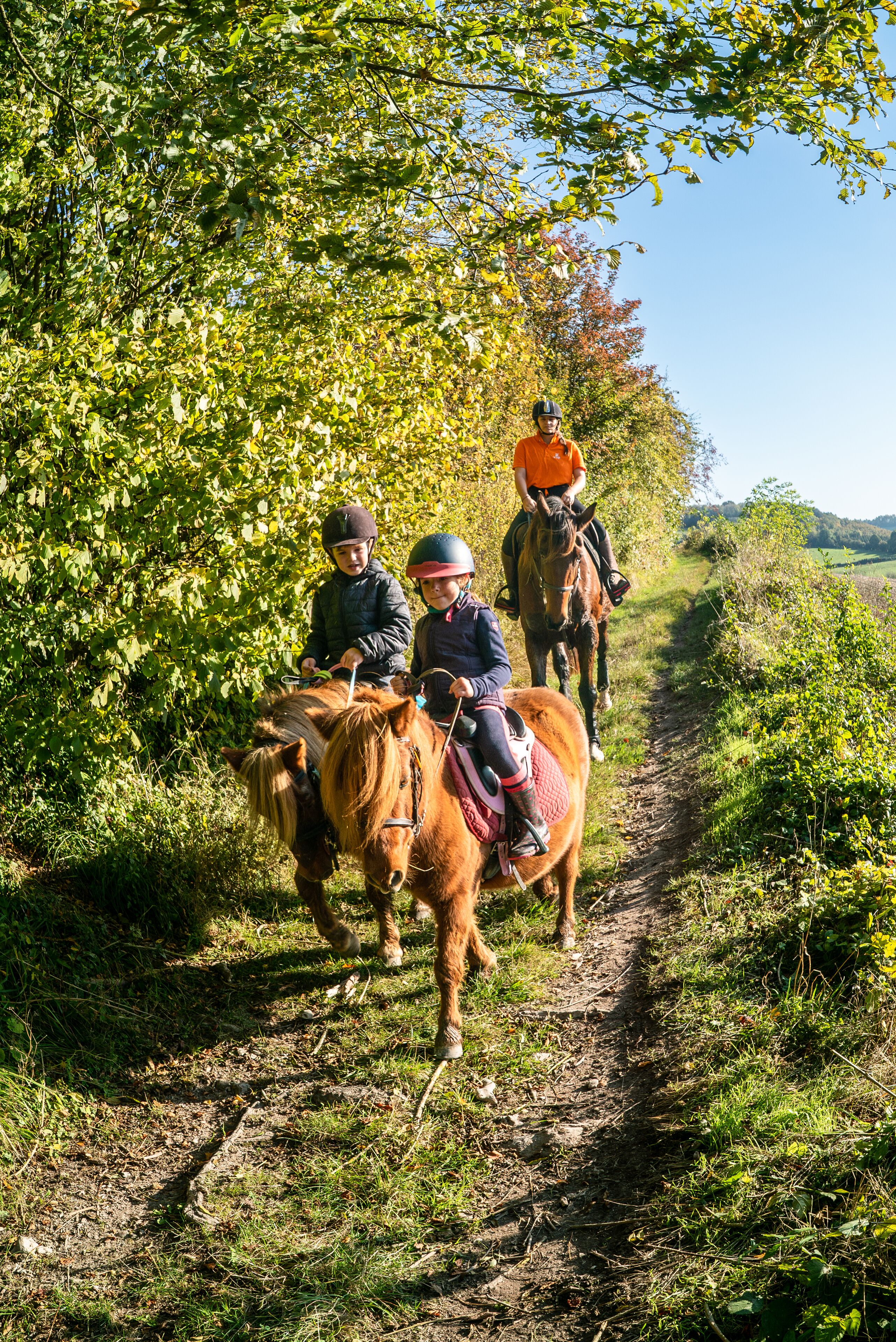 Three people riding horses on a dirt path surrounded by trees.