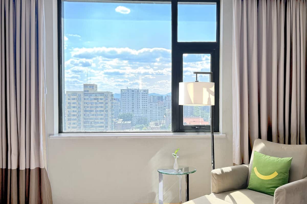 Standard Room, 1 King Bed, City View | 1 bedroom, down duvets, minibar, in-room safe
