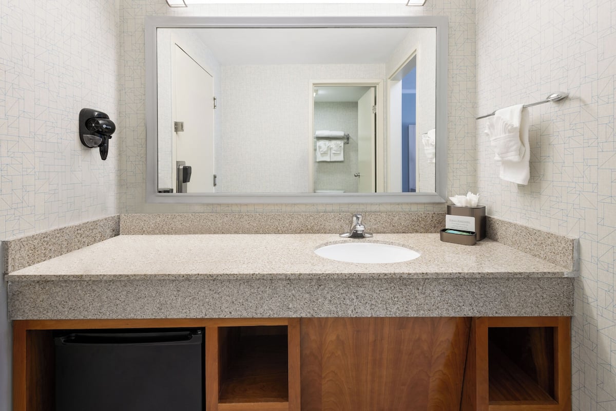 Une salle de bain avec un grand miroir, un lavabo et un porte-serviettes.
