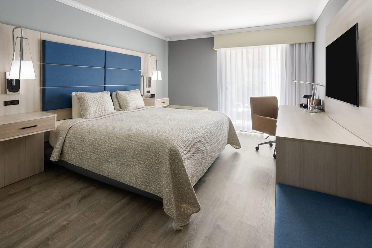 Une chambre d’hôtel avec un grand lit, un bureau, une chaise et un téléviseur.