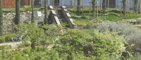 A garden with a stone staircase leading to a white building with blue shutters.