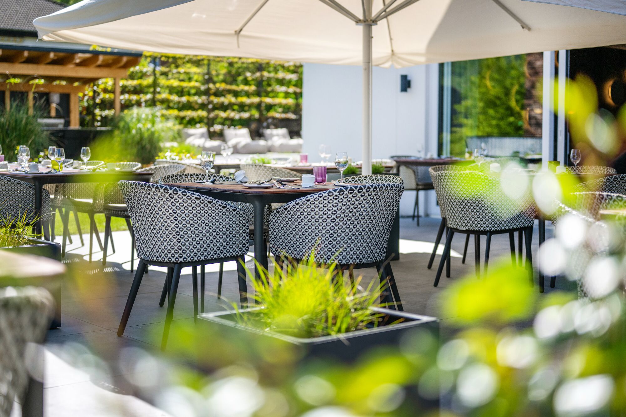 Un área de comedor al aire libre con mesas y sillas, rodeada de follaje y un paraguas grande.
