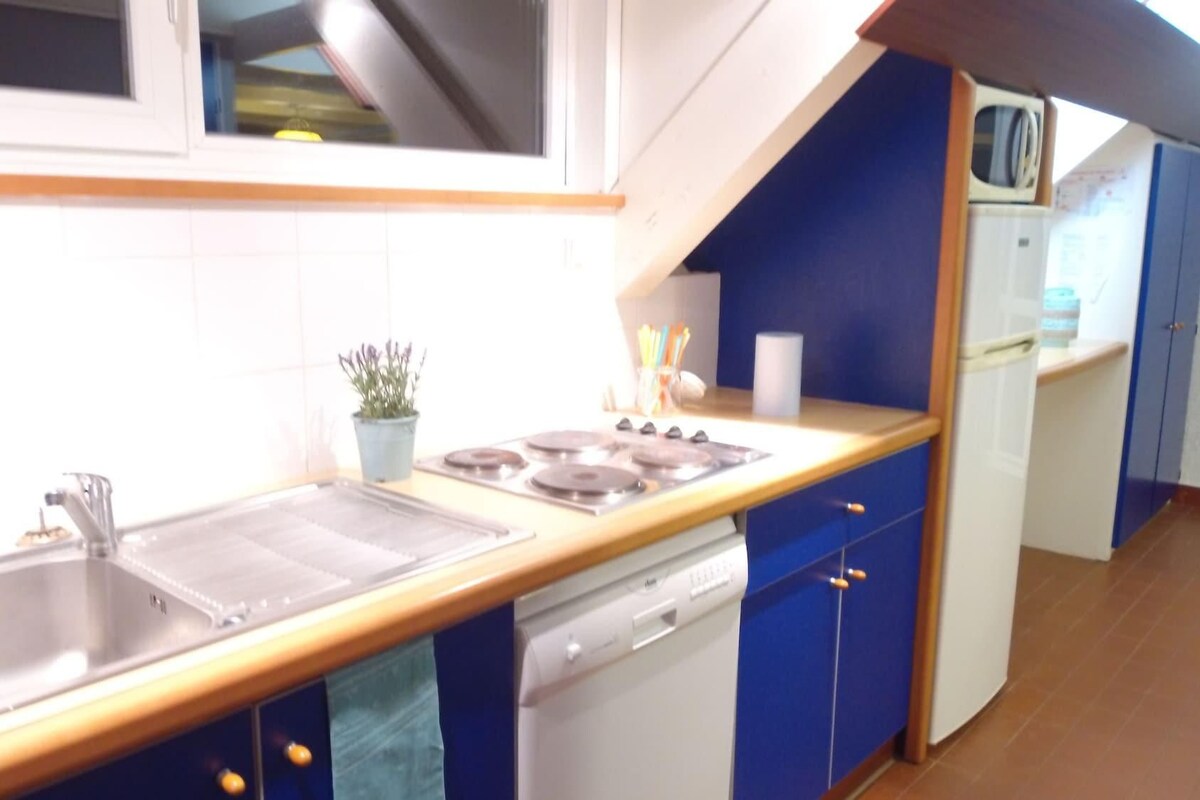 A kitchen with a double sink, stove, and dishwasher. There is a potted plant on the counter.