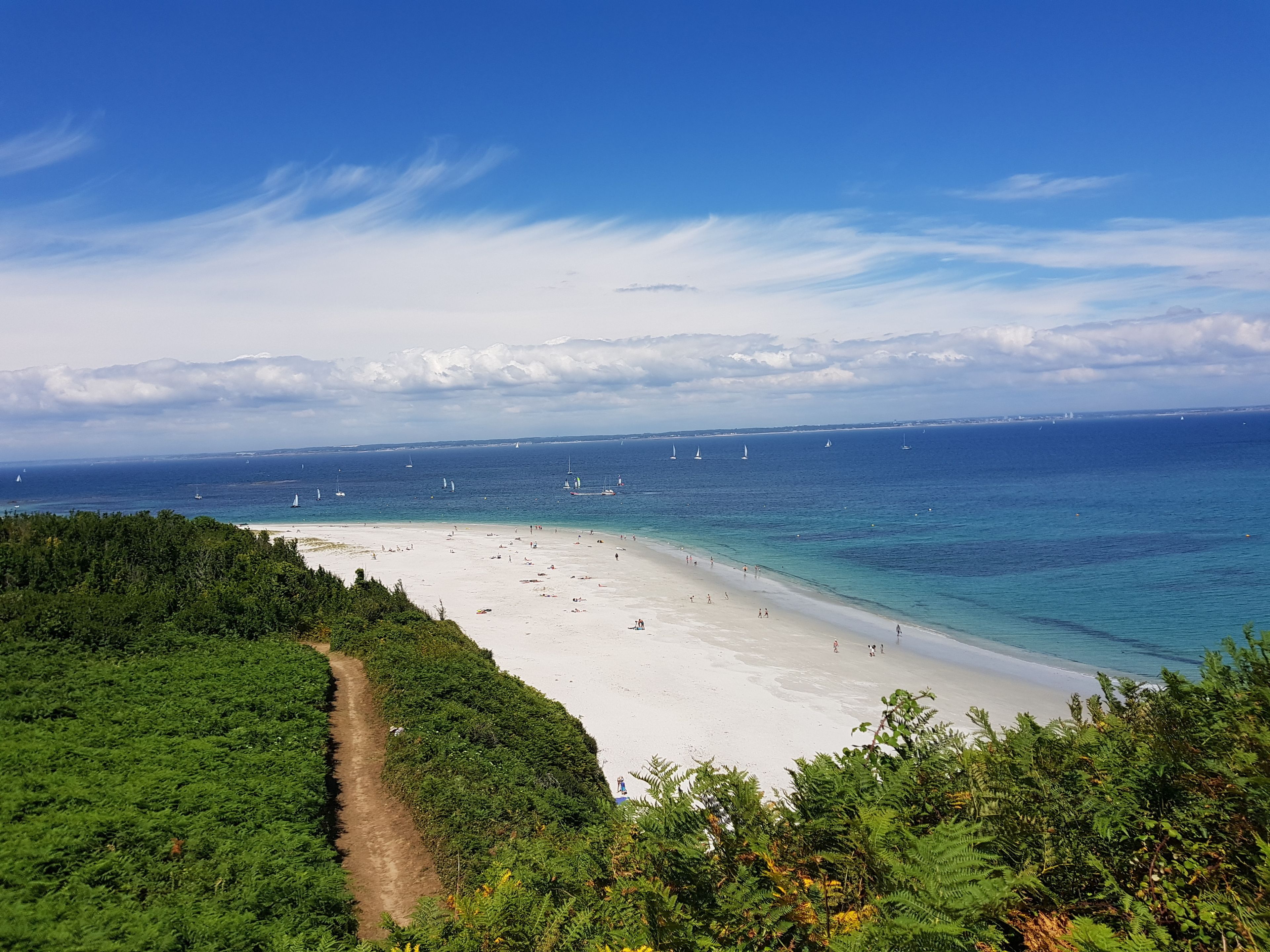 A beach with a clear path leading to the shore, surrounded by greenery.