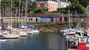 Un puerto deportivo con varias embarcaciones amarradas, un edificio de fachada roja y blanca, y una colina con árboles al fondo.