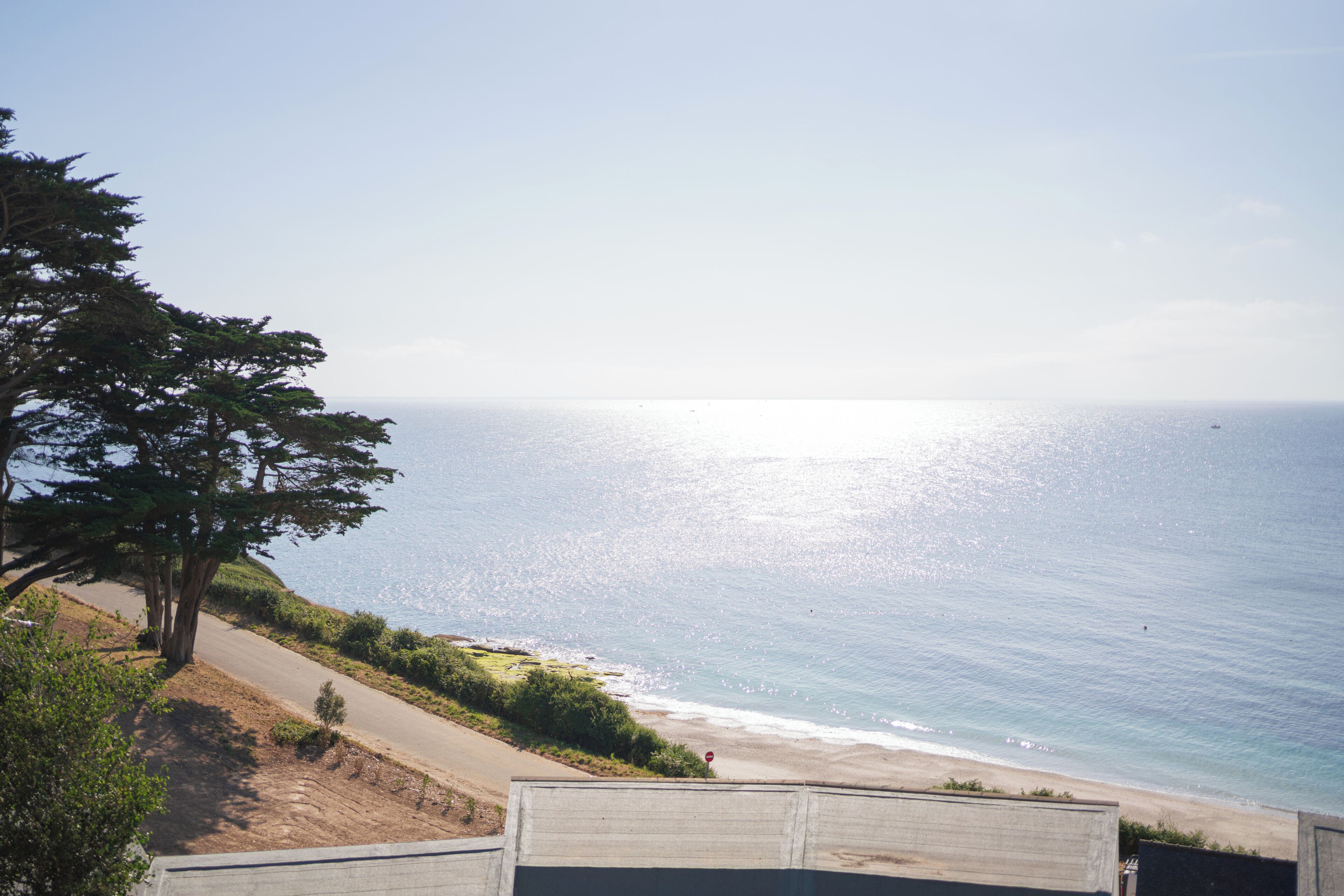 A coastal view with a road leading to the beach, a tree, and a clear sky.