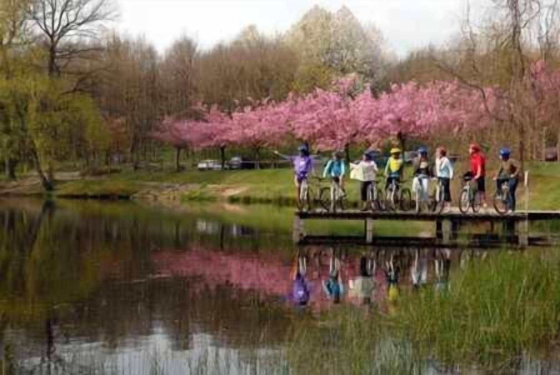 Un groupe de cyclistes se trouve sur un pont qui enjambe une étendue d’eau calme, entourée d’arbres et de fleurs en pleine floraison.