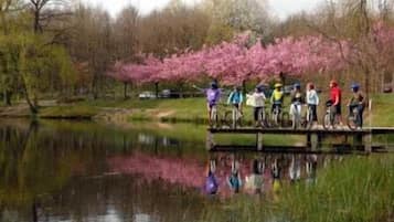 Un groupe de cyclistes se trouve sur un pont qui enjambe une étendue d’eau calme, entourée d’arbres et de fleurs en pleine floraison.