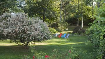 A garden with a large tree, a lawn, and three colorful Adirondack chairs.