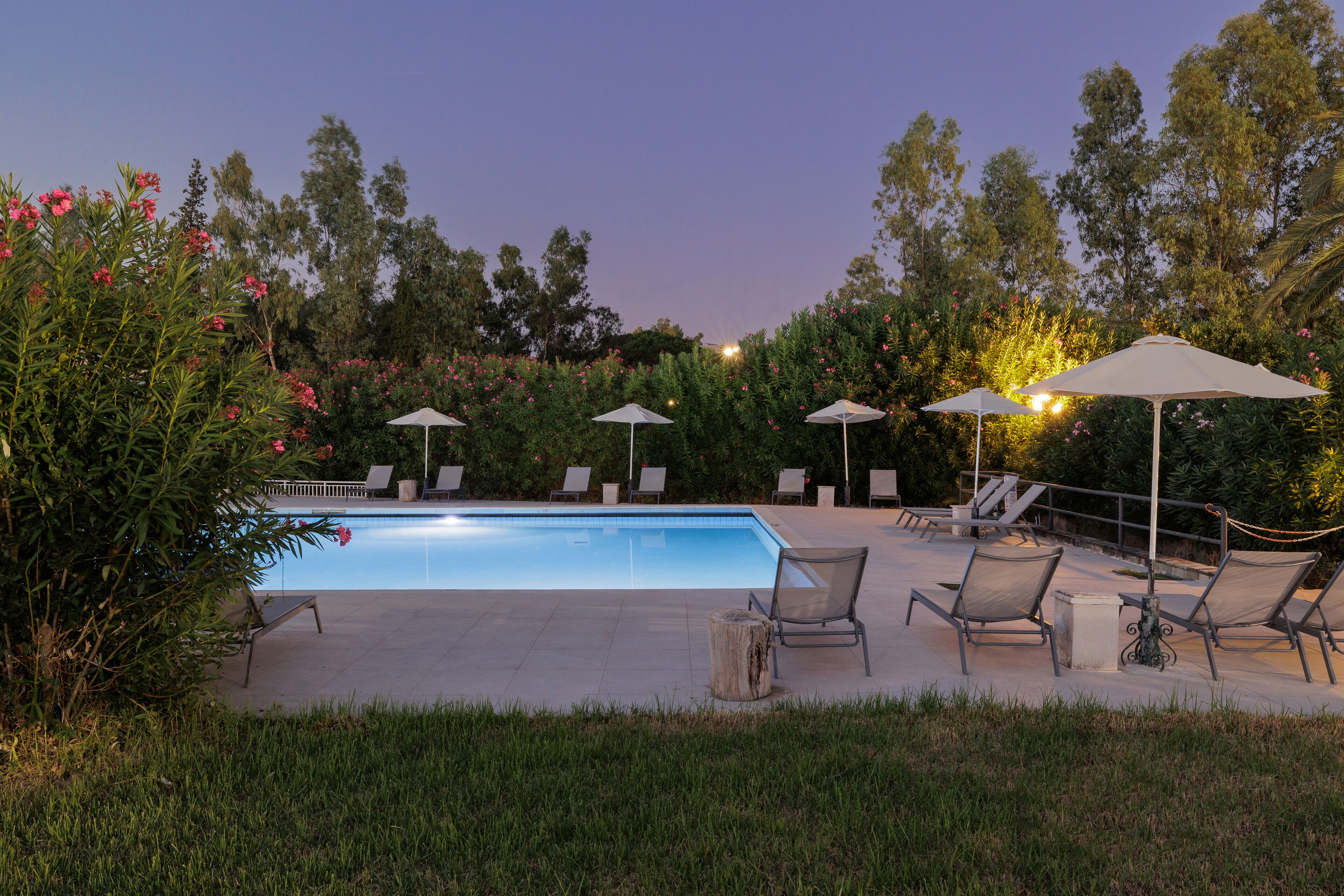 Piscina con sillones de descanso y sombrillas, rodeada de follaje y árboles.