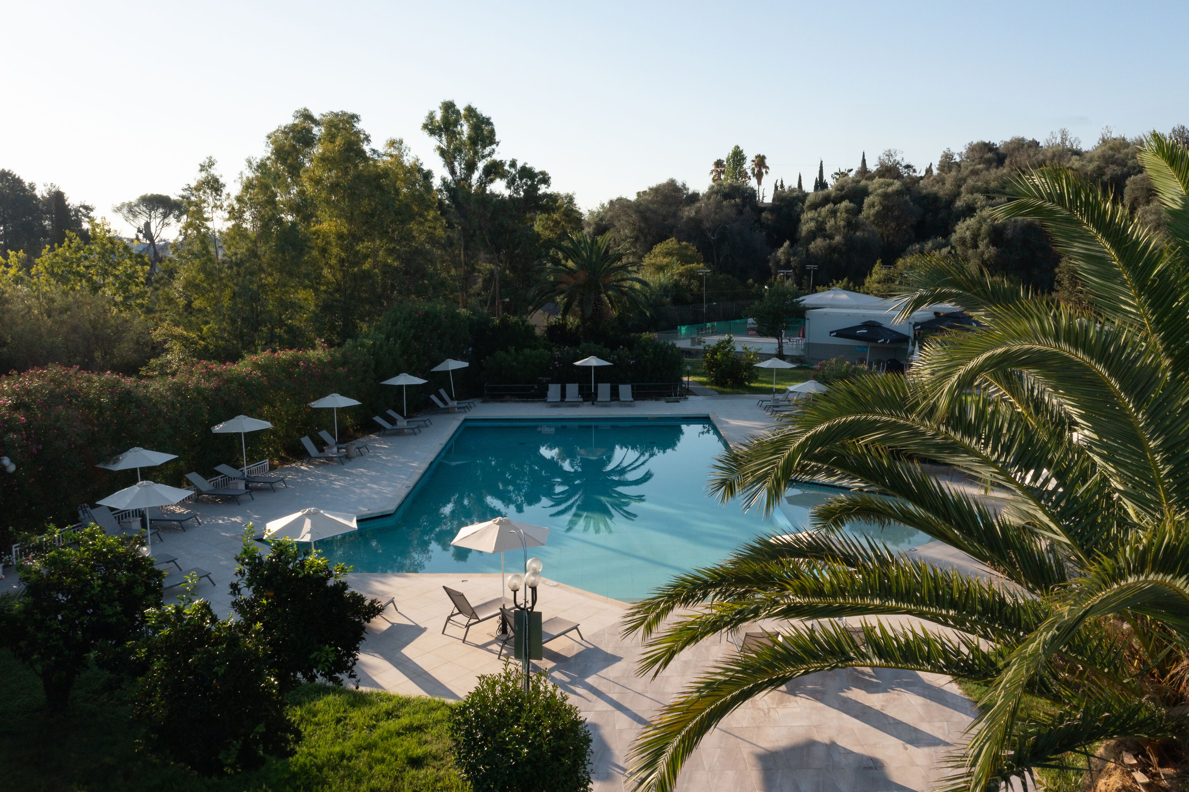 A rectangular swimming pool with lounge chairs and umbrellas, surrounded by lush greenery and trees.