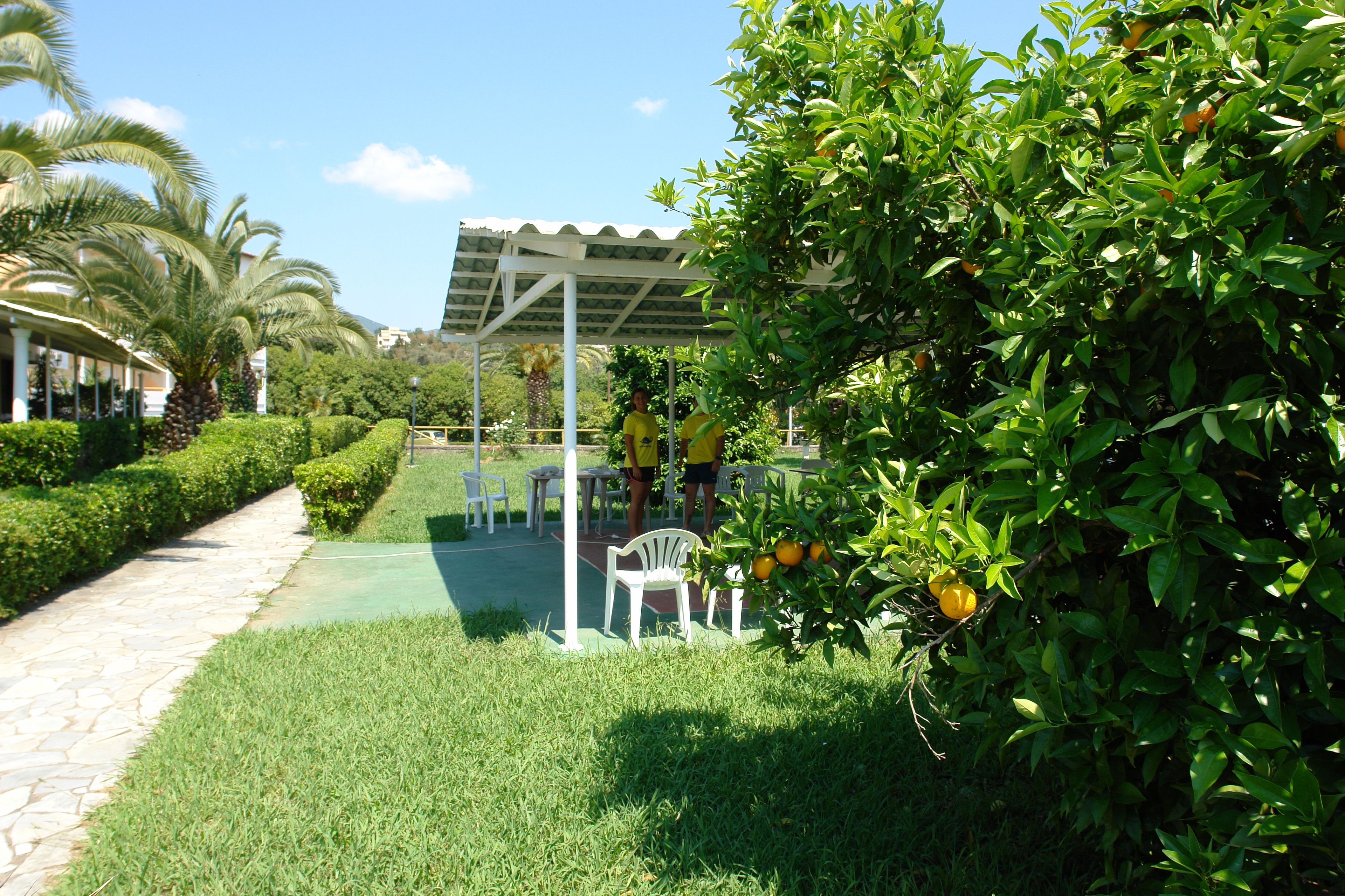A garden area with a paved walkway, outdoor seating, and a pergola structure.