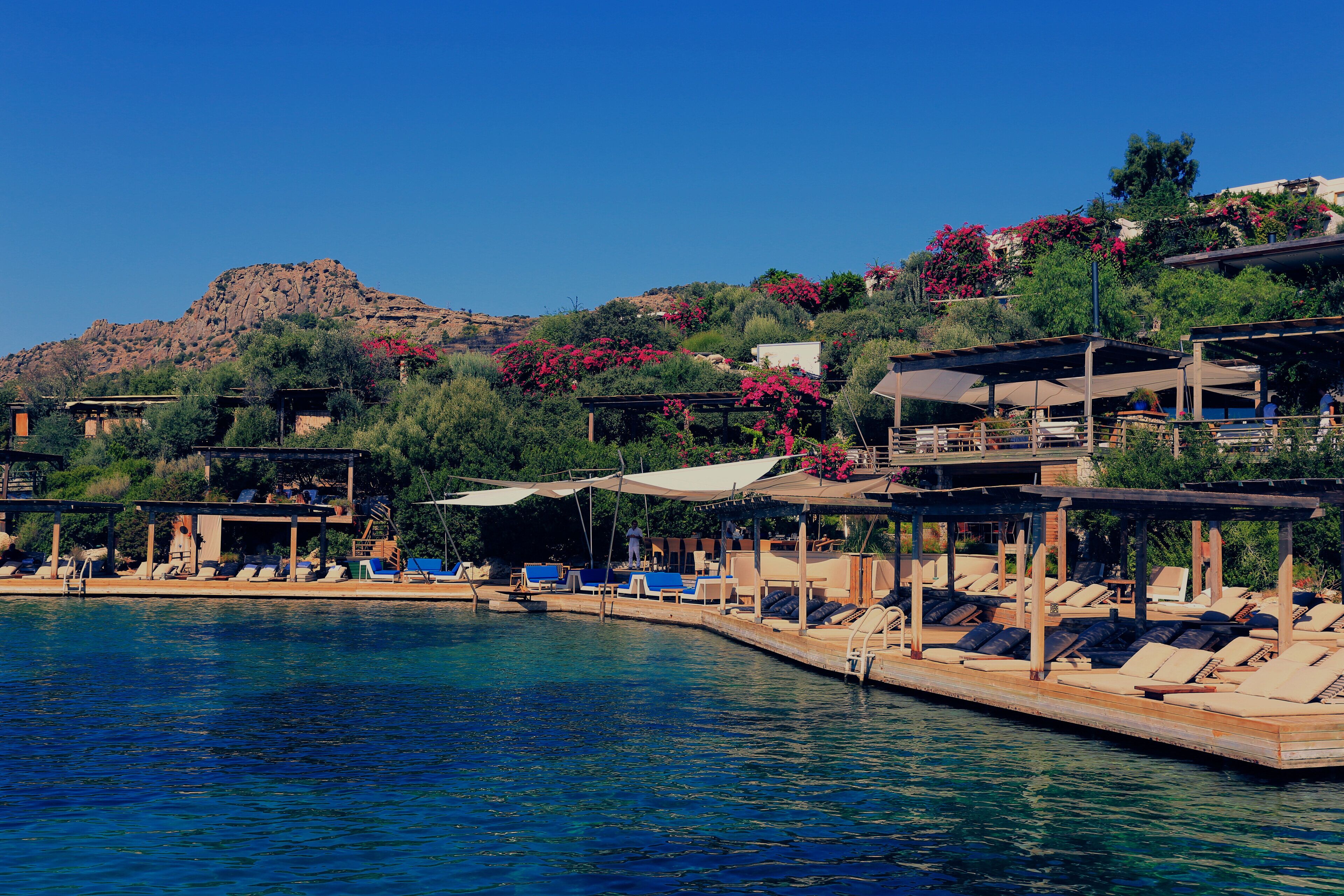 المنطقة المحيطة بالمنشأة