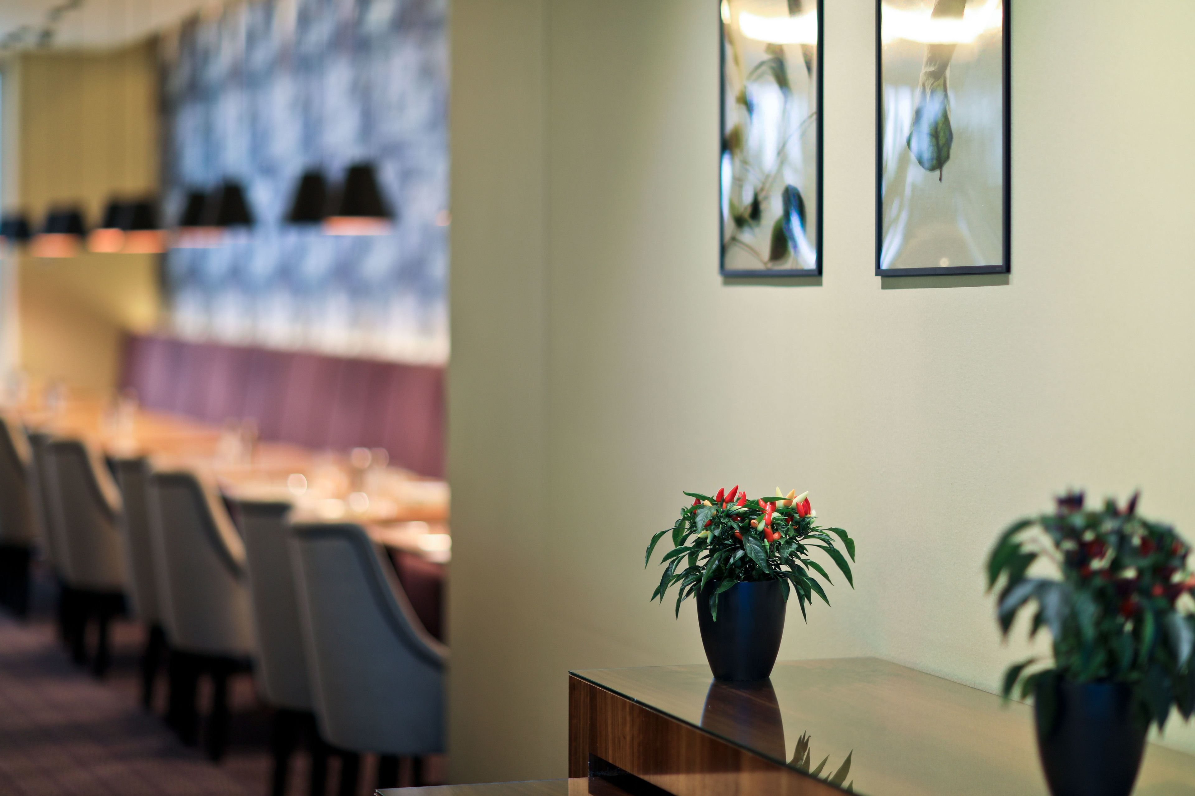 Desayuno completo diario (CZK 395 por persona)