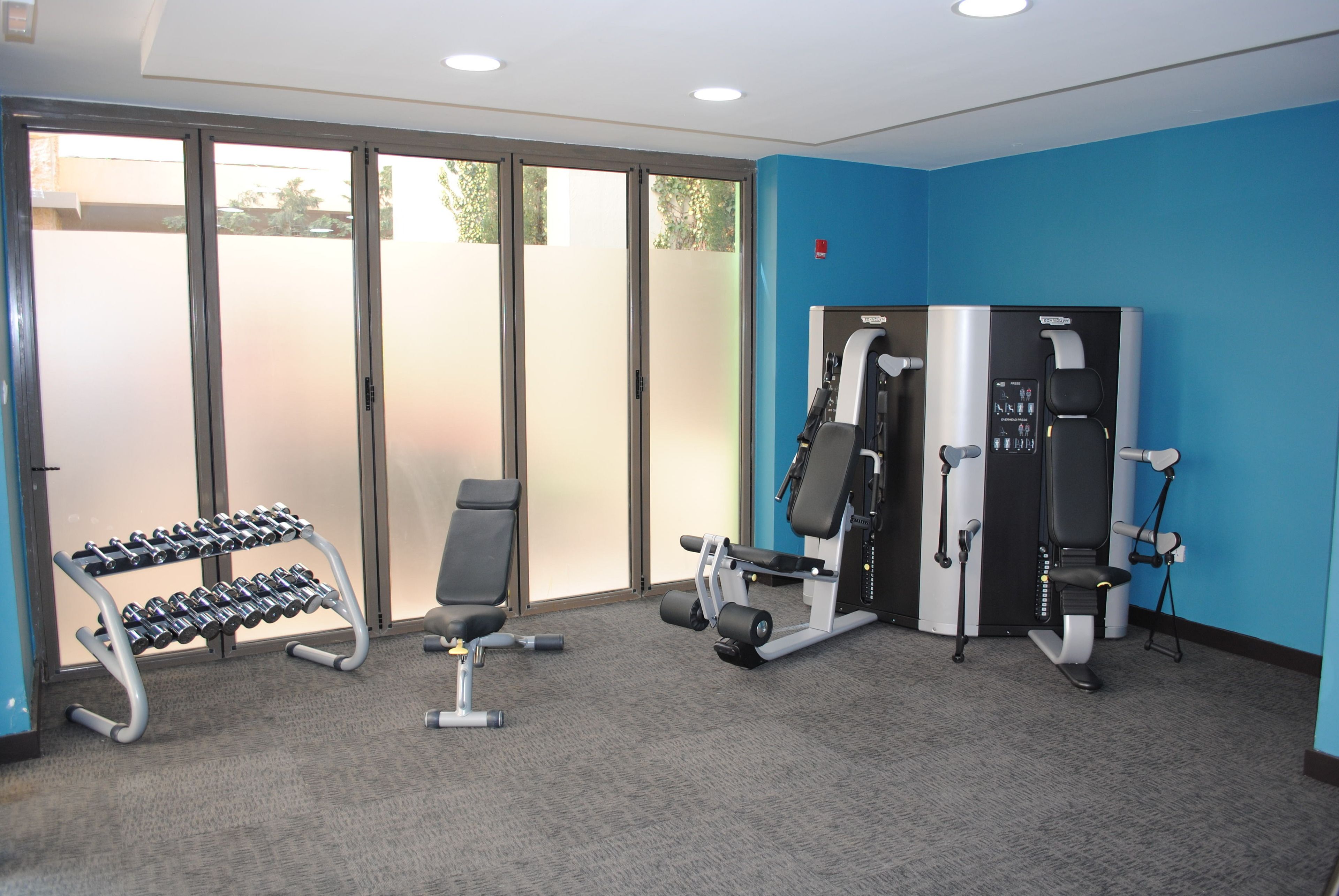 A gym with exercise equipment, a bench, and a dumbbell rack.