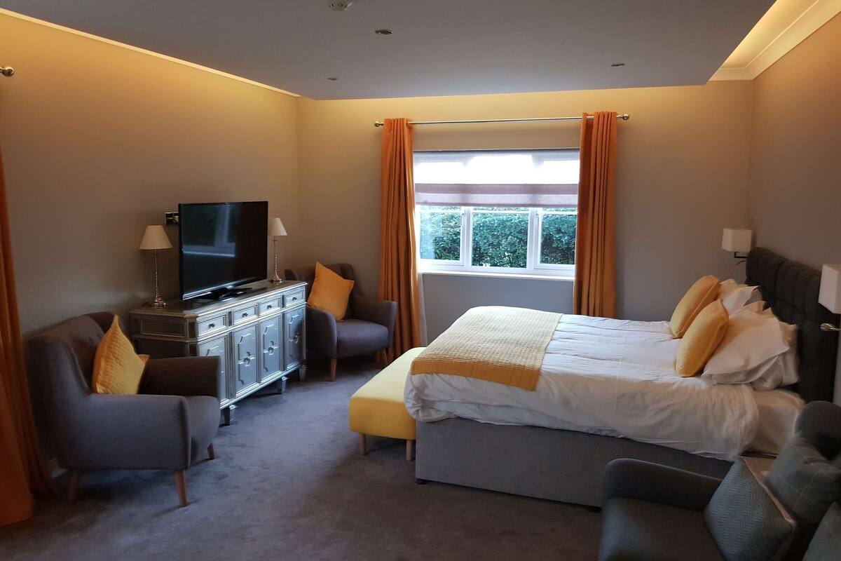 A bedroom with a bed, a TV, a sofa, and a dresser.