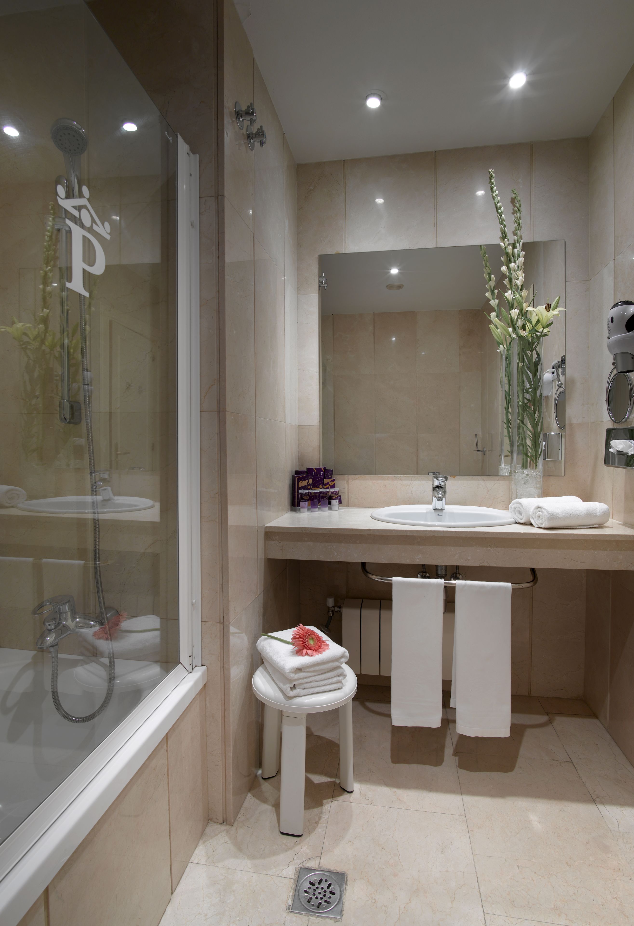 combined shower/bathtub, free toiletries, hair dryer, bidet