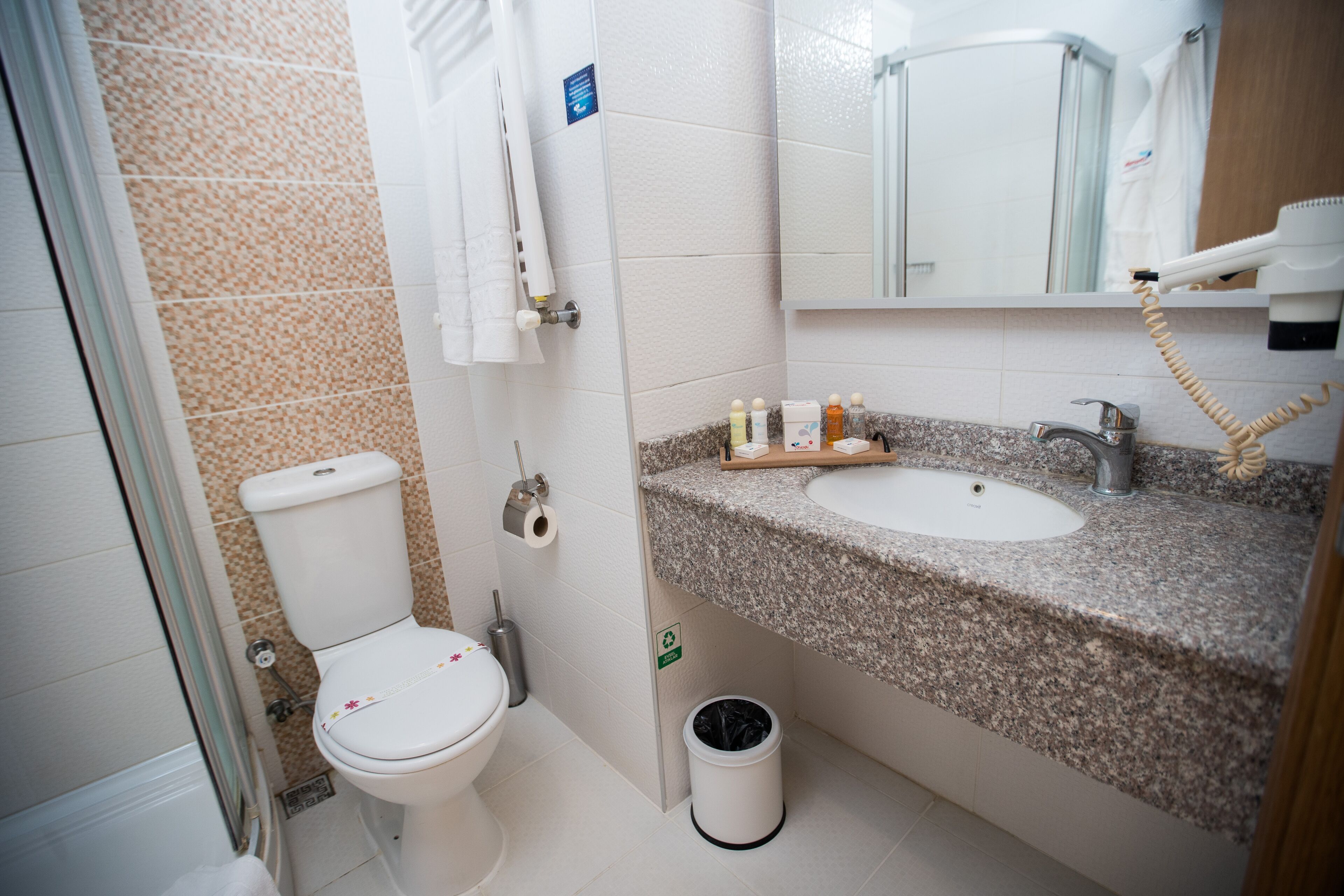A bathroom with a toilet, sink, and mirror.