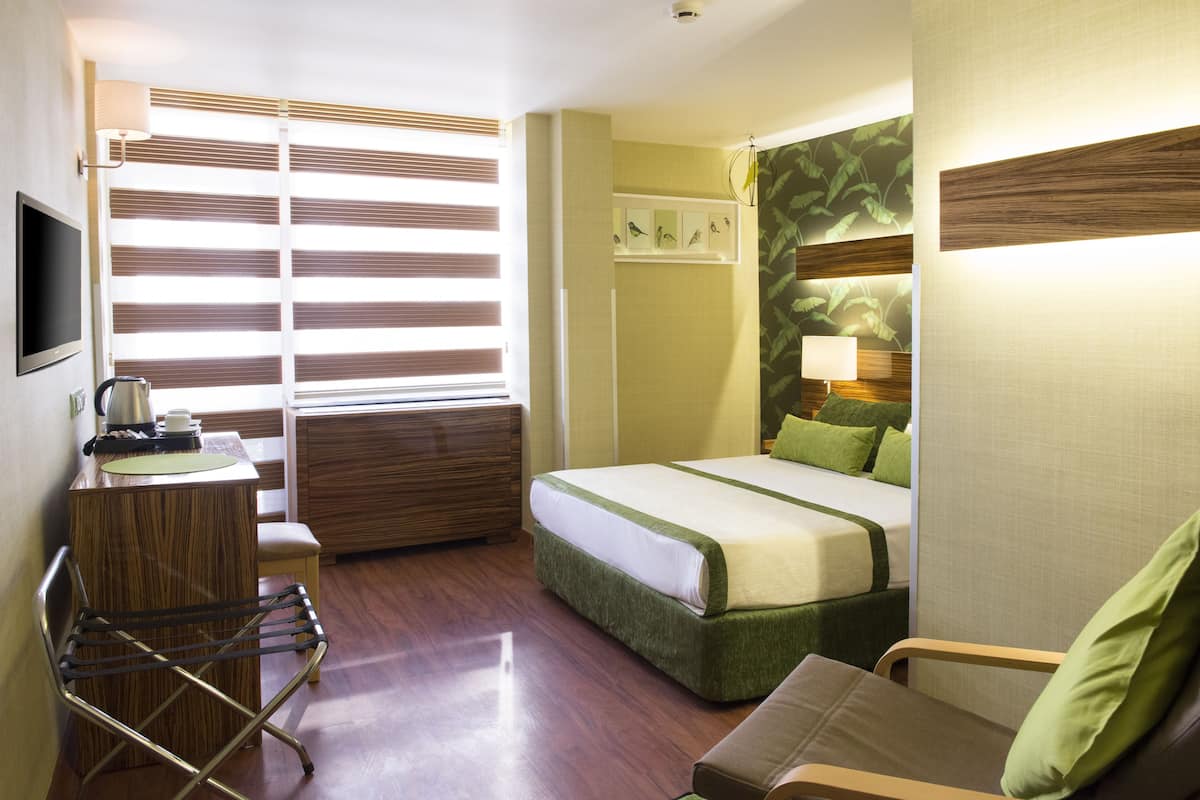 Superior Double Room | Hypo-allergenic bedding, minibar, blackout drapes, free WiFi