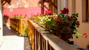 A row of potted plants with red flowers on a balcony railing. - Casa Wagner Brasov (Brasov)