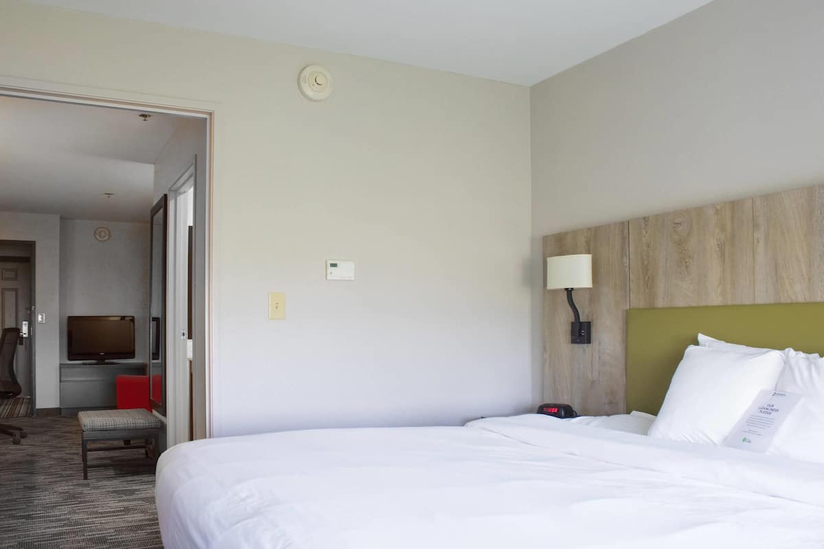 Studio Suite, 1 Katil Raja (King), Non Smoking | 1 bilik tidur, peralatan tempat tidur premium, meja