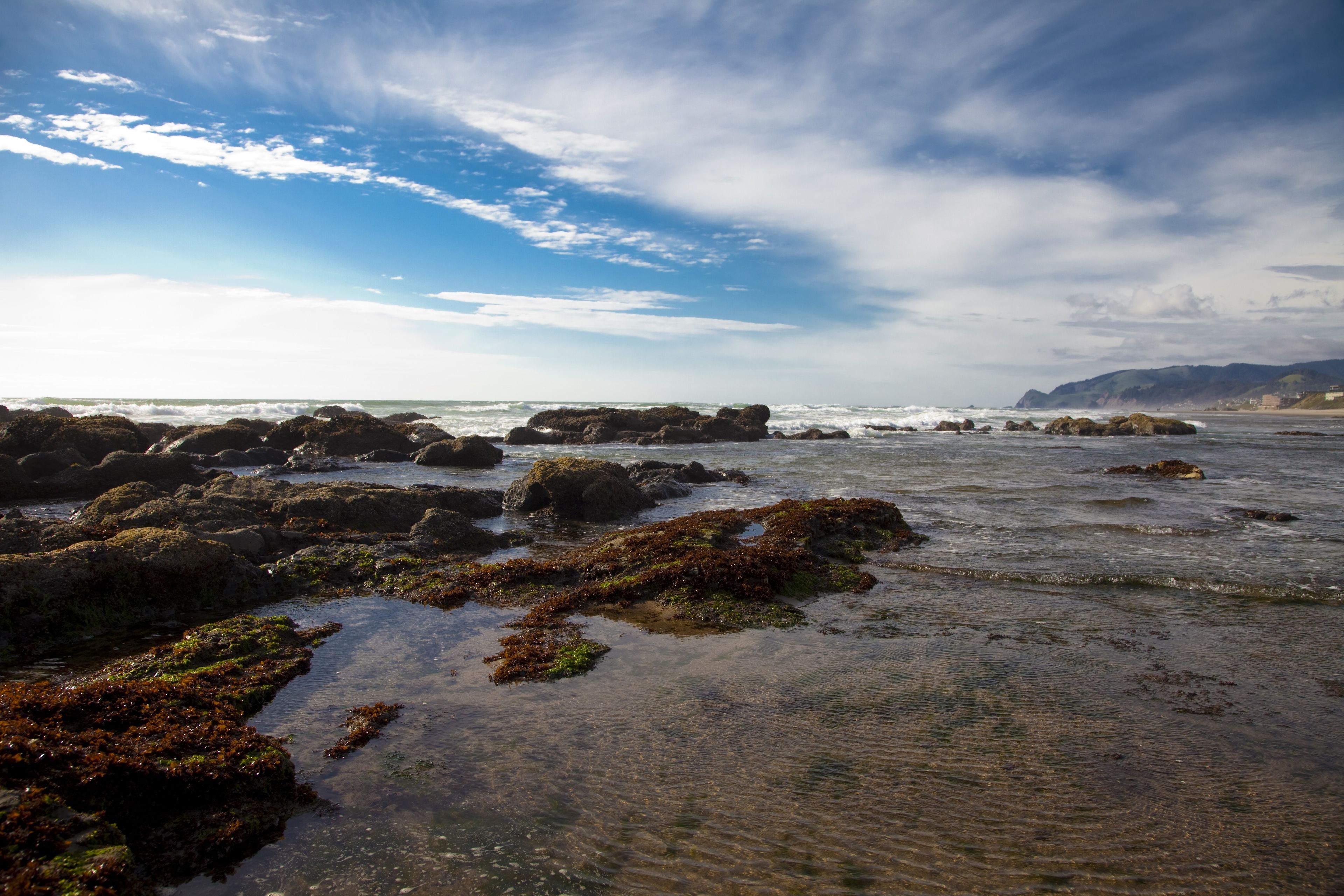 A rocky shoreline with clear water and distant mountains.