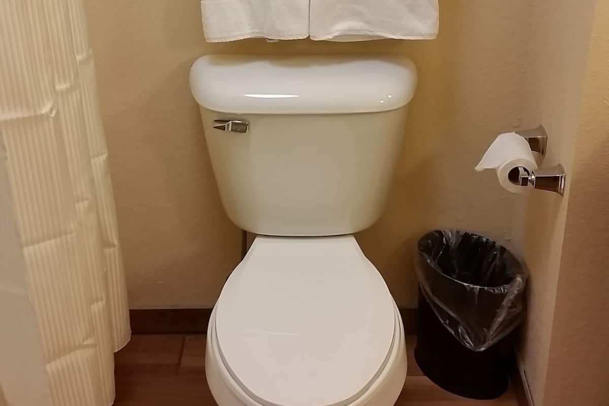 combined shower/bathtub, free toiletries, hair dryer, towels