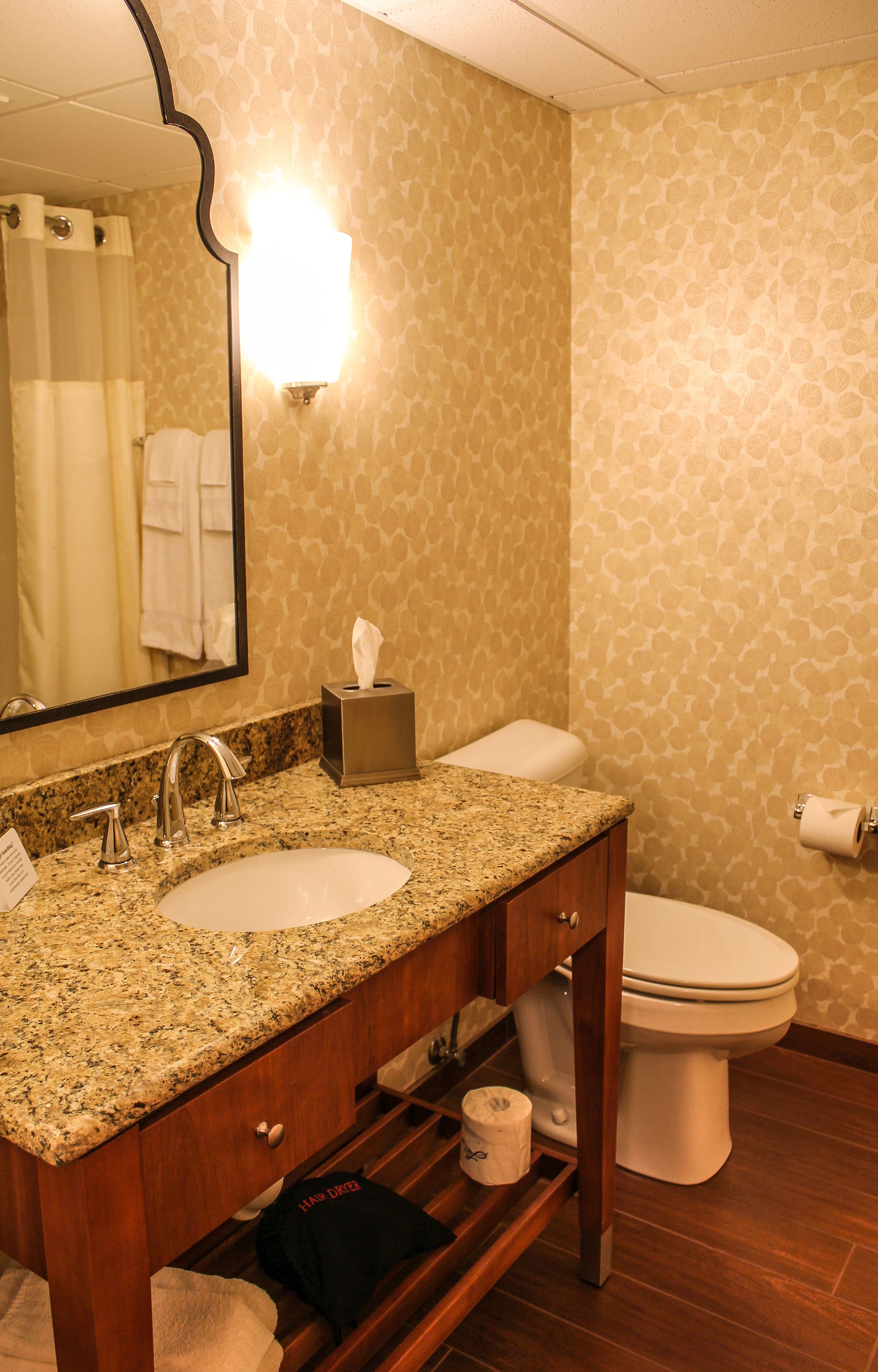 combined shower/bathtub, free toiletries, hair dryer, towels