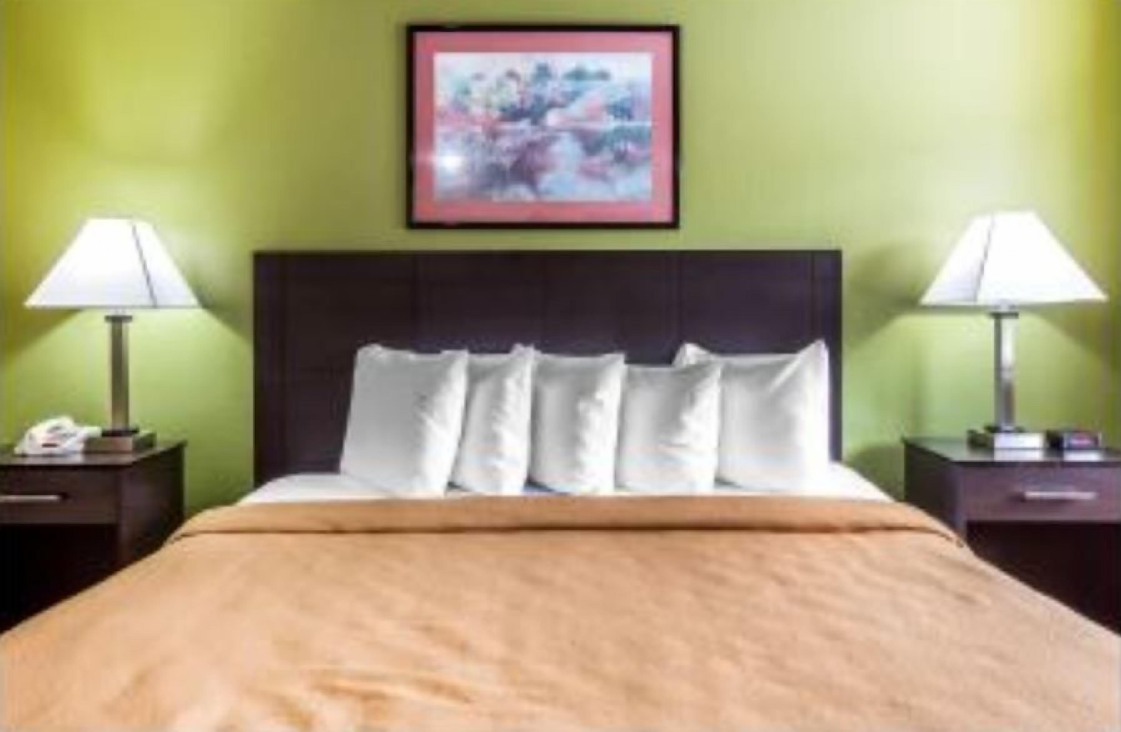 A hotel room with a bed, two bedside tables, a nightstand, a framed picture on the wall, and a green wall.