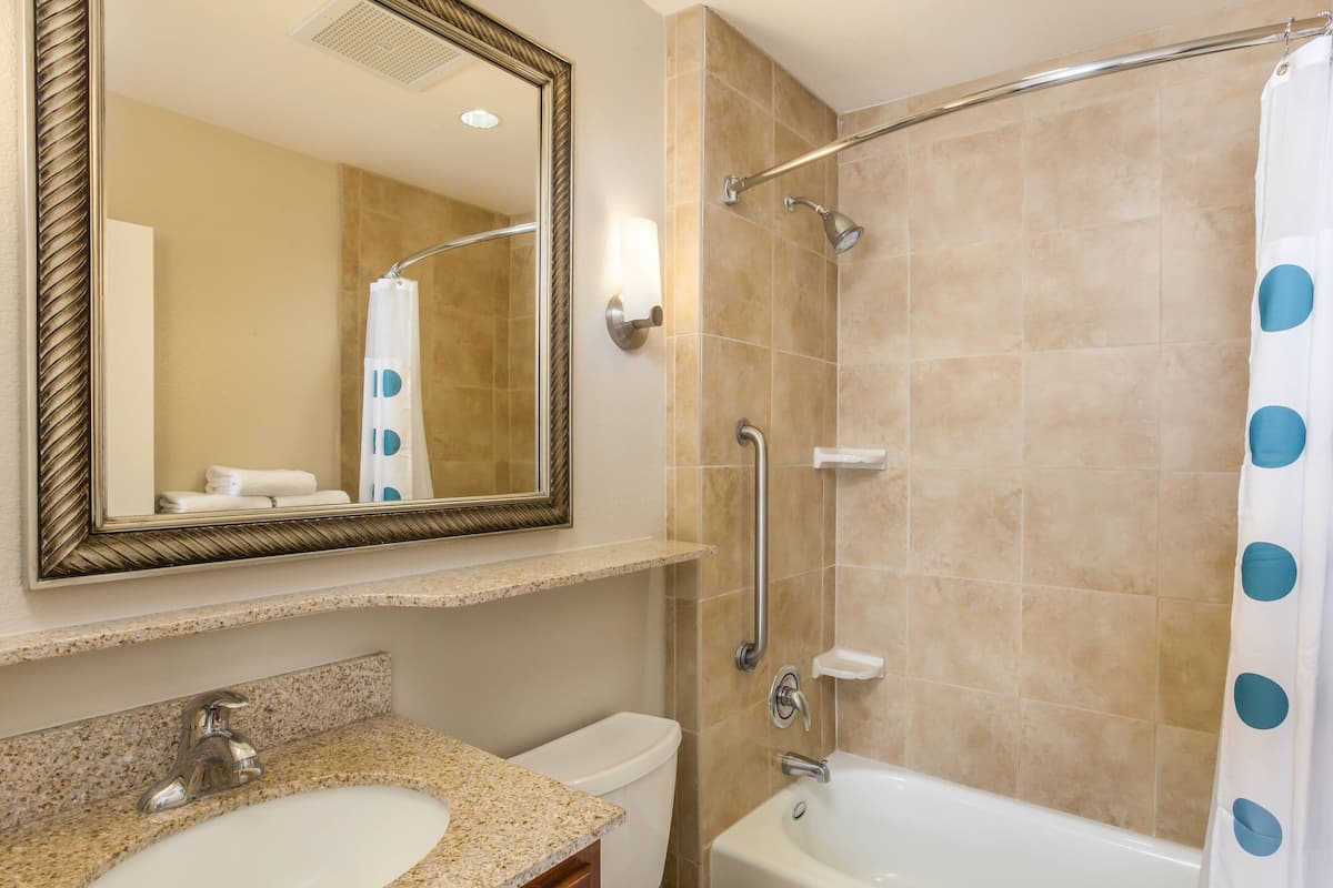 combined shower/bathtub, free toiletries, hair dryer, towels