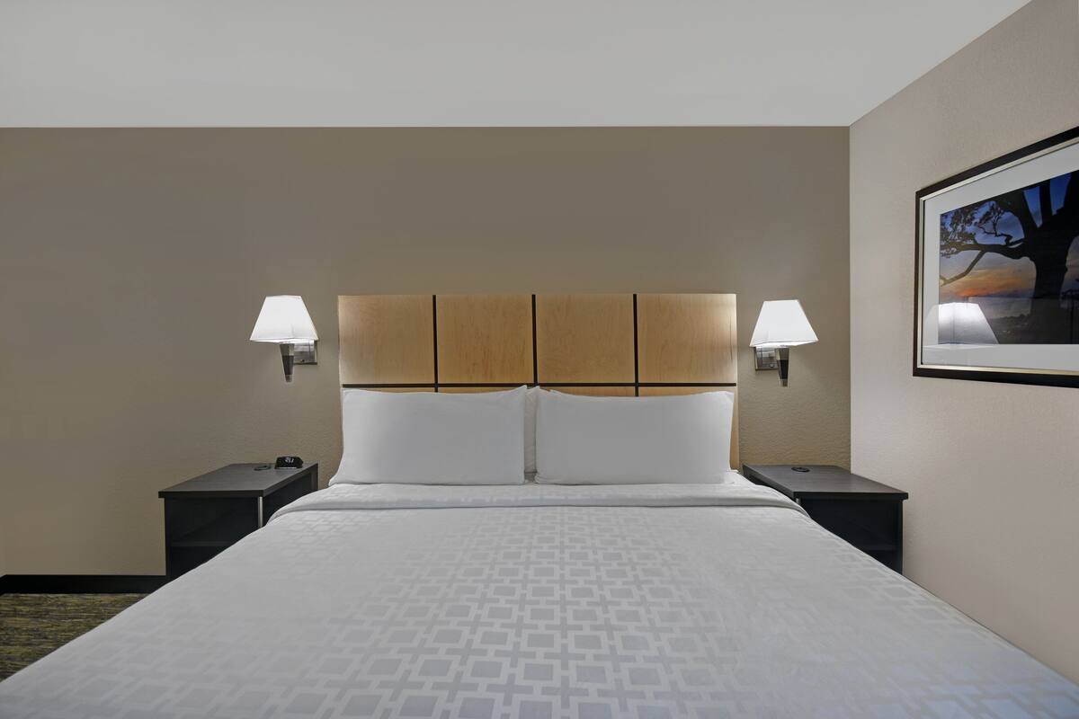 Habitación de hotel con una cama grande, dos mesitas de noche con lámparas, un cabecero y un cuadro enmarcado en la pared.