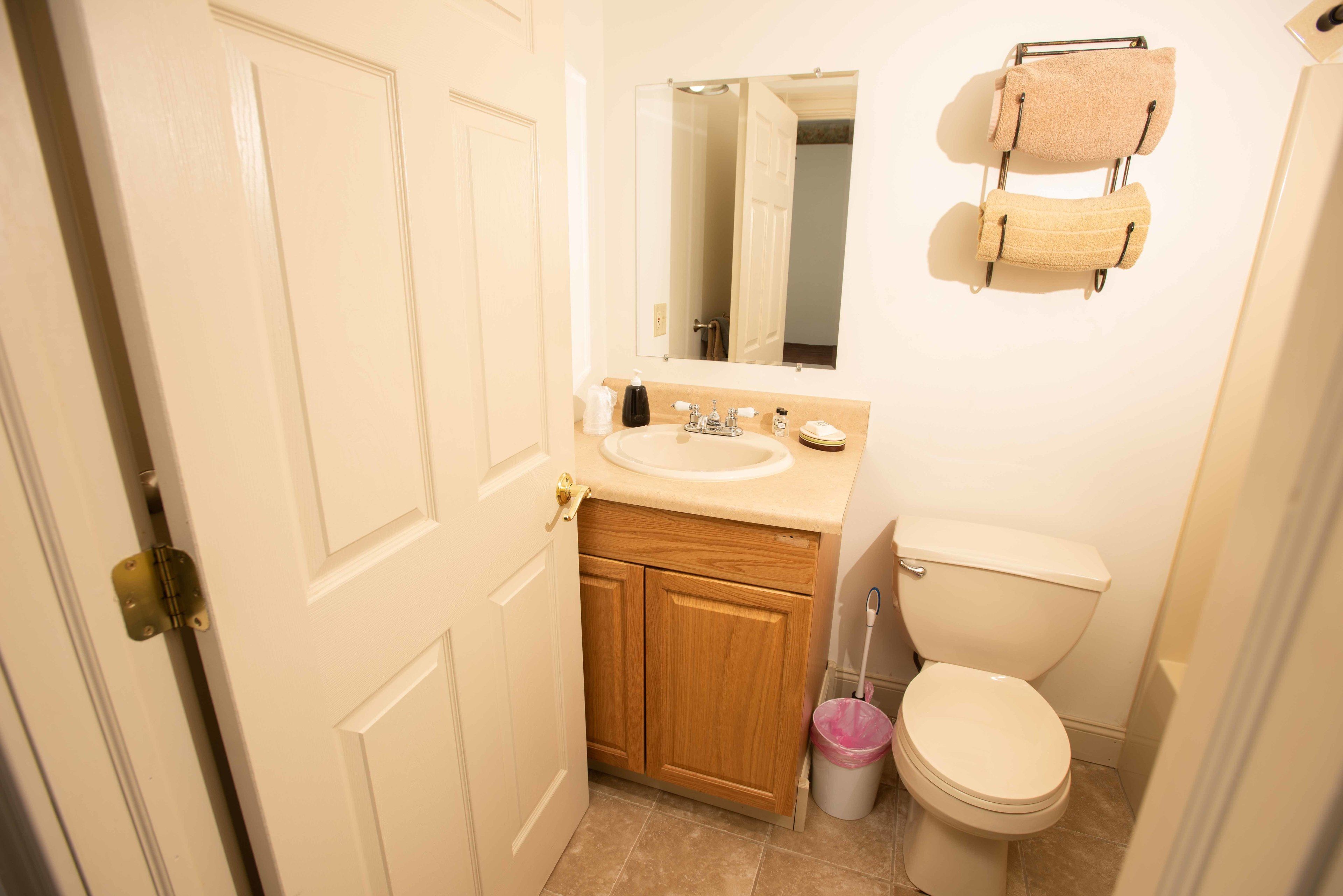 A bathroom with a white sink, wooden cabinets, a toilet, and a mirror.
