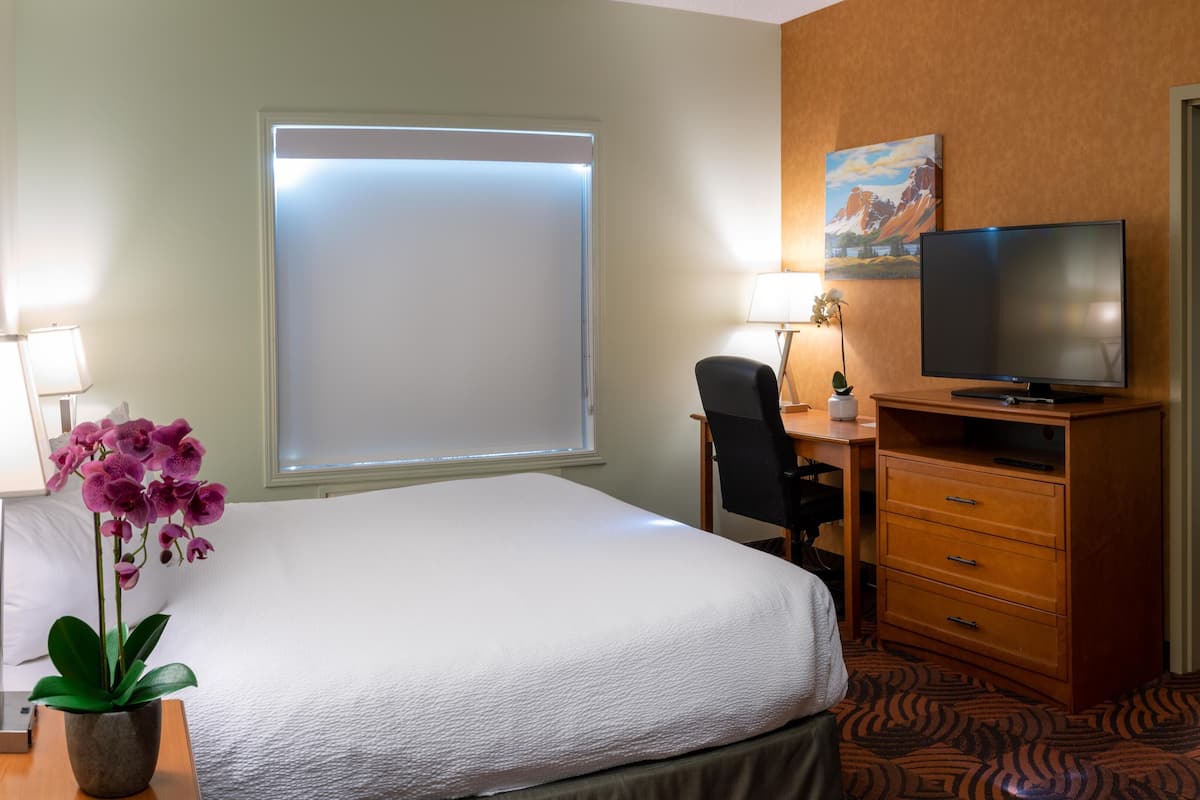 A hotel room with a large bed, a desk with a chair, a television, and a potted orchid.