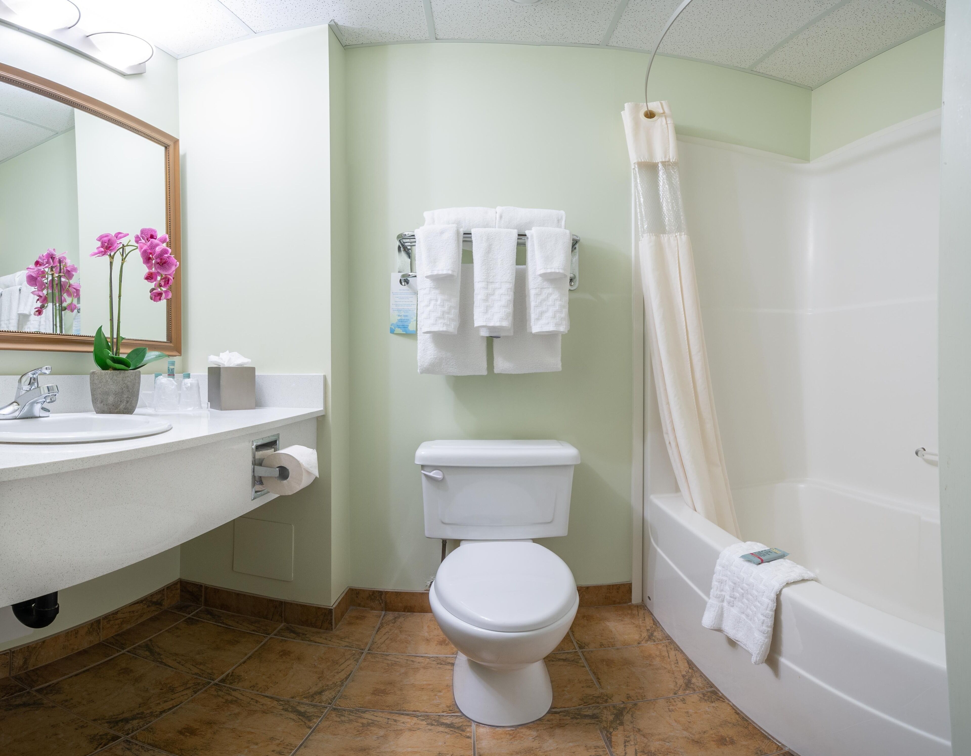 combined shower/bathtub, free toiletries, hair dryer, bathrobes